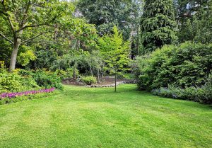 Optimiser l'expérience du jardin à Loscouet-sur-Meu